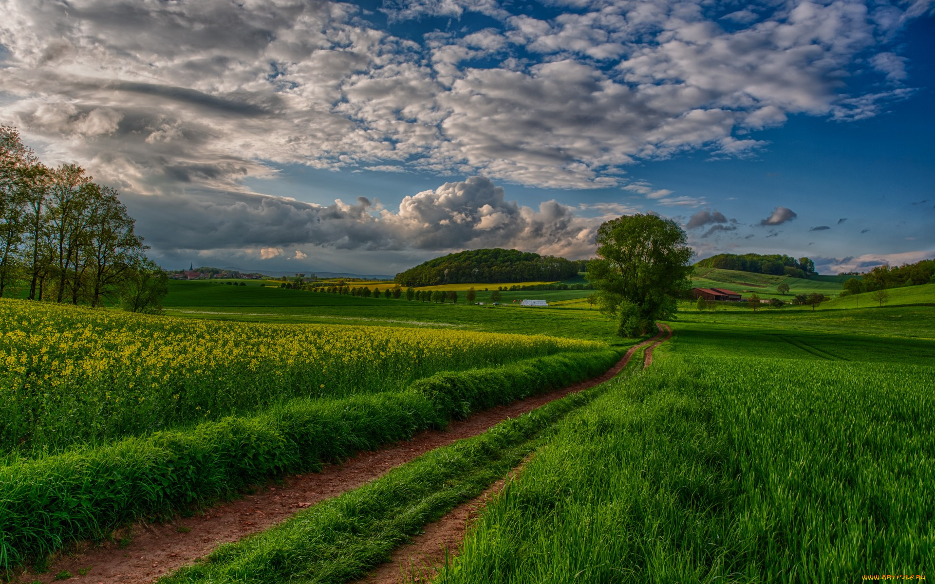 , , road, path, , , sky, view, scenery, landscape, nature, , , beautiful, clouds, trees, field, sunset, , , , 